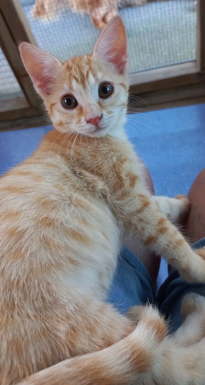 Gallery image: Montana