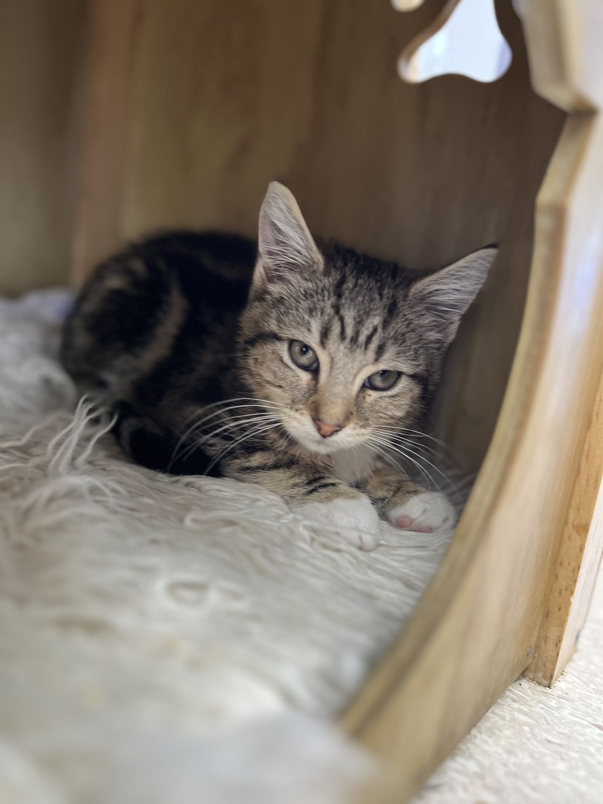 Gallery image: Jamie