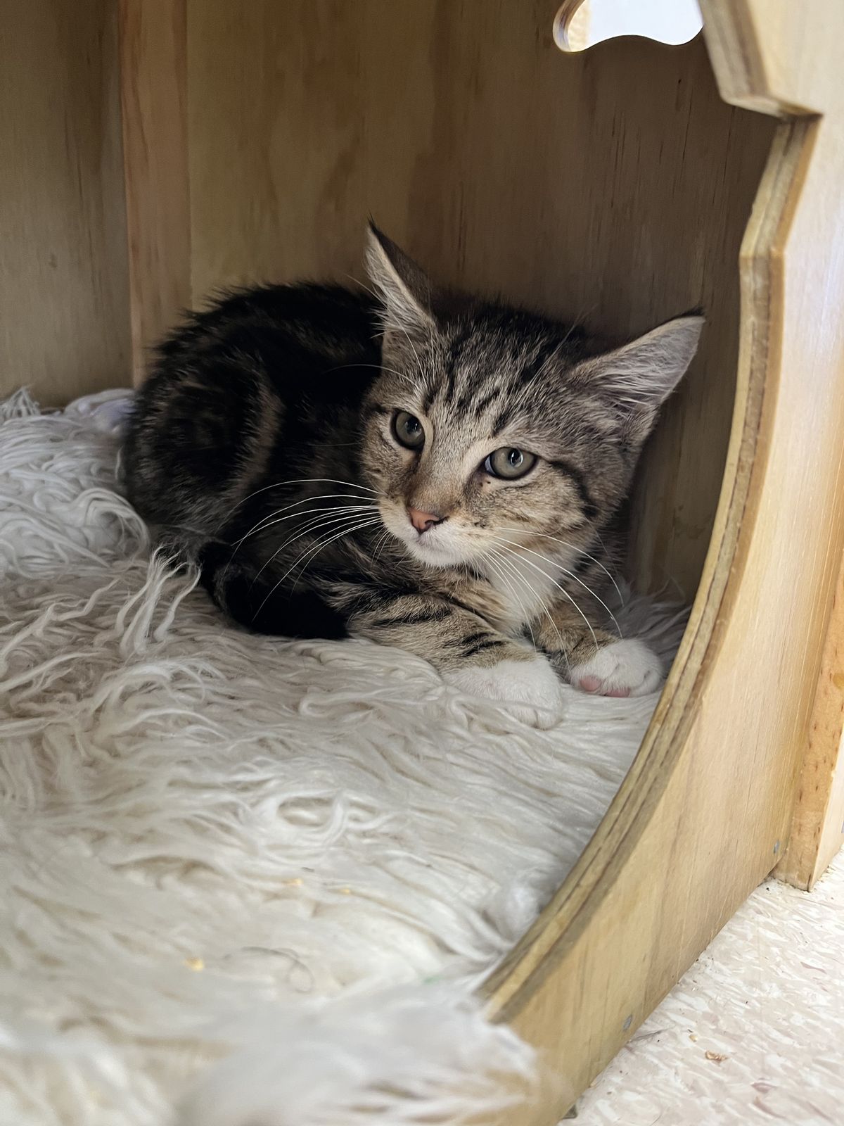 Gallery image: Jamie