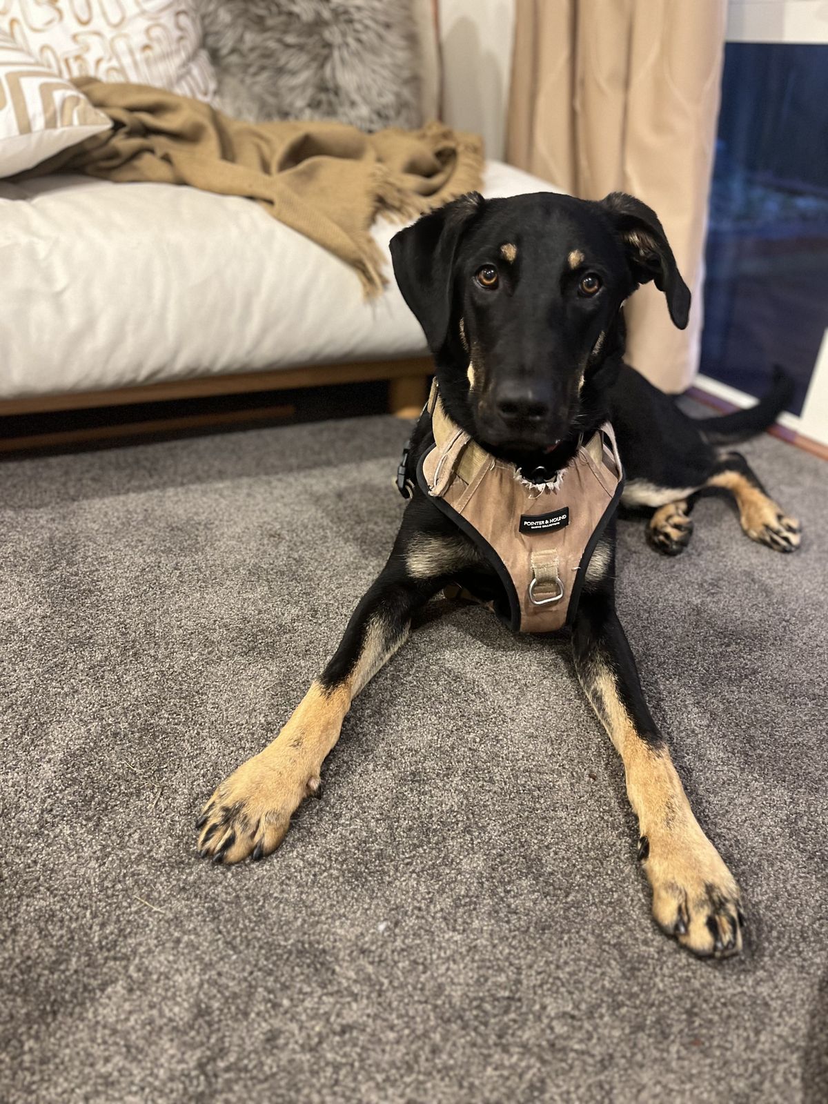 Gallery image: Tanggol