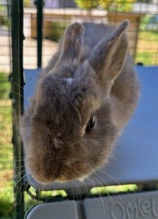 Gallery image: Jessica Rabbit