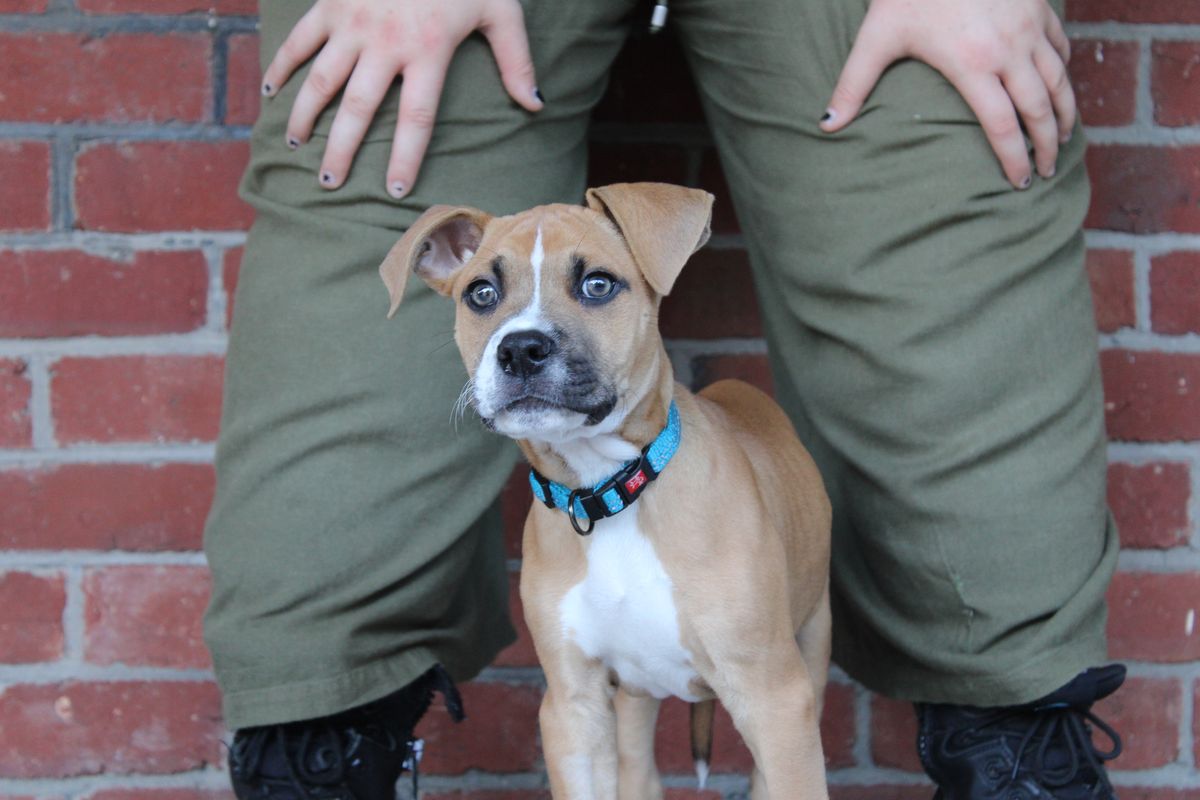 Gallery image: Toulouse