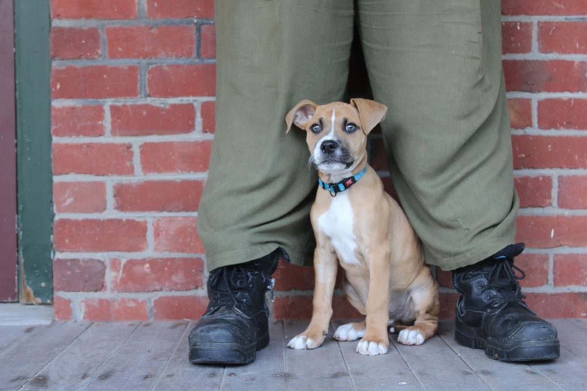 Gallery image: Toulouse