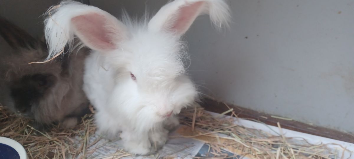 Gallery image: Cloud