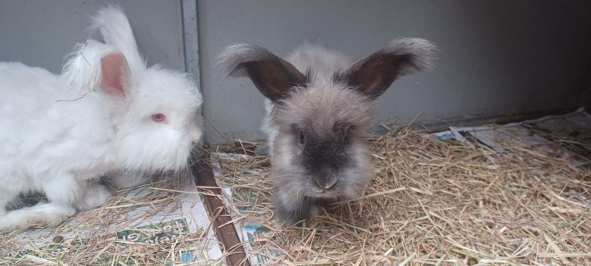 Gallery image: Cloud