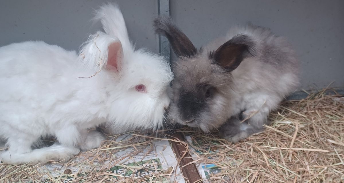 Gallery image: Cloud