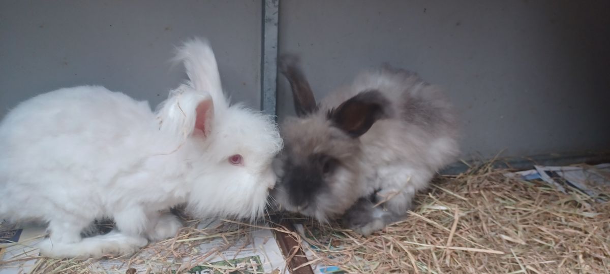 Gallery image: Cloud