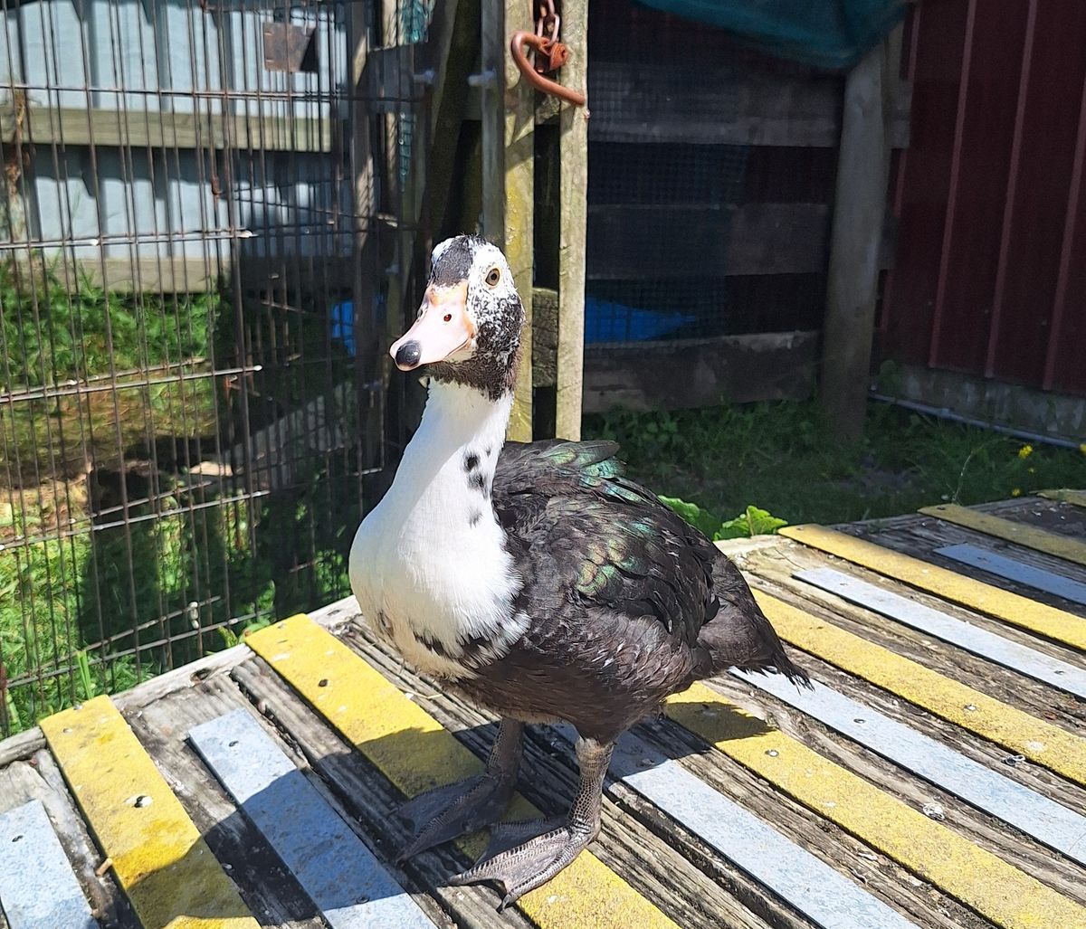 Gallery image: Wiggle Fizz