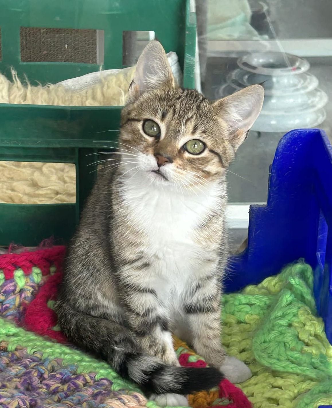 Gallery image: Cupid