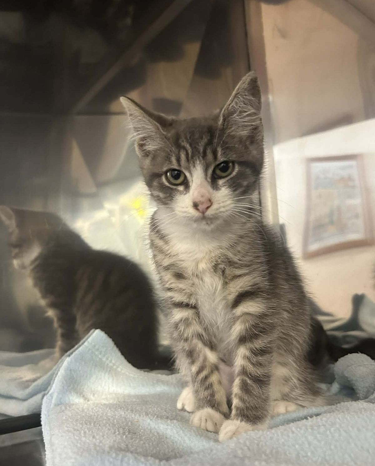 Gallery image: Shuri