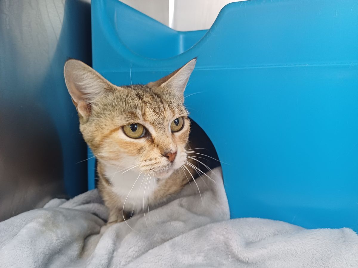 Gallery image: Cassie