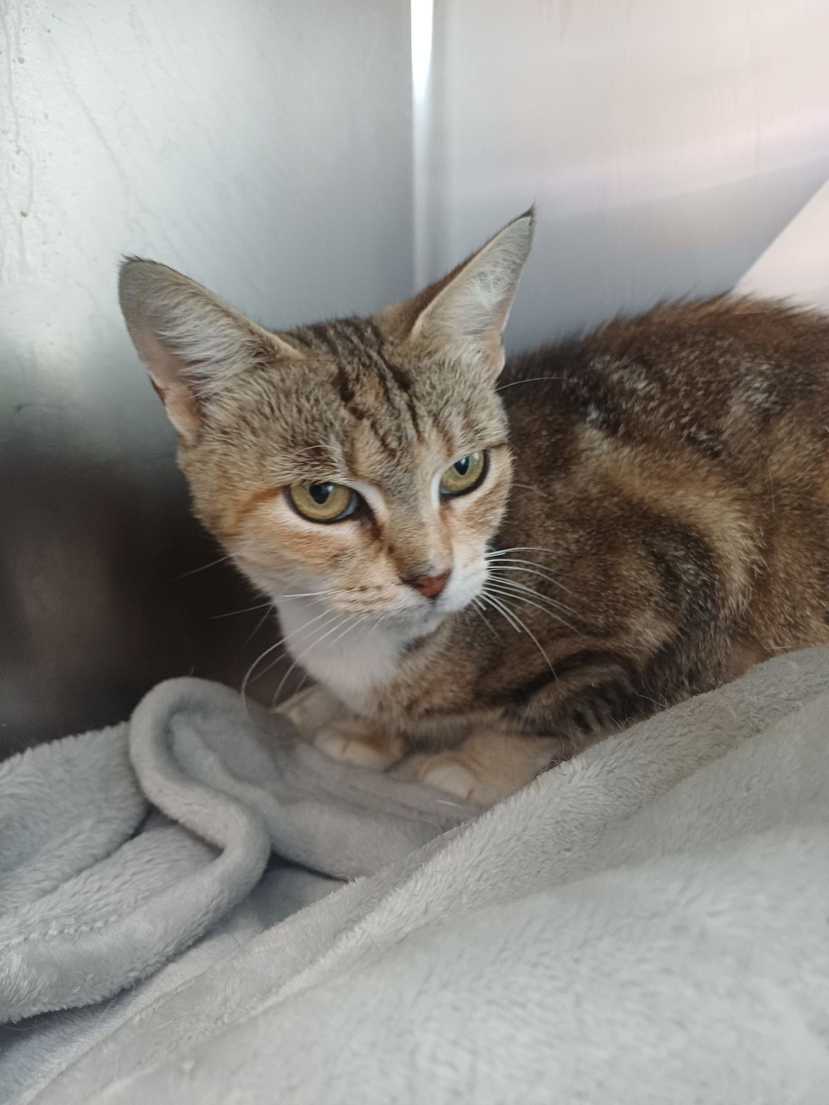 Gallery image: Cassie