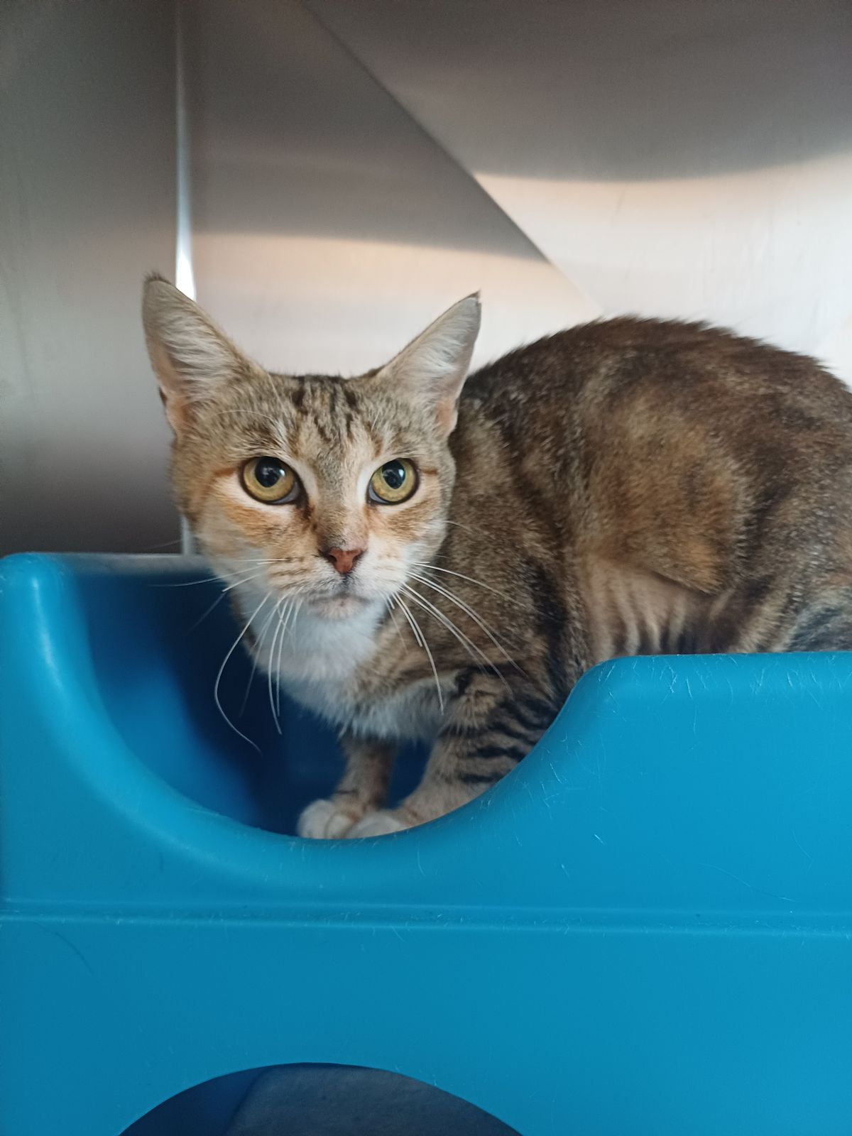 Gallery image: Cassie