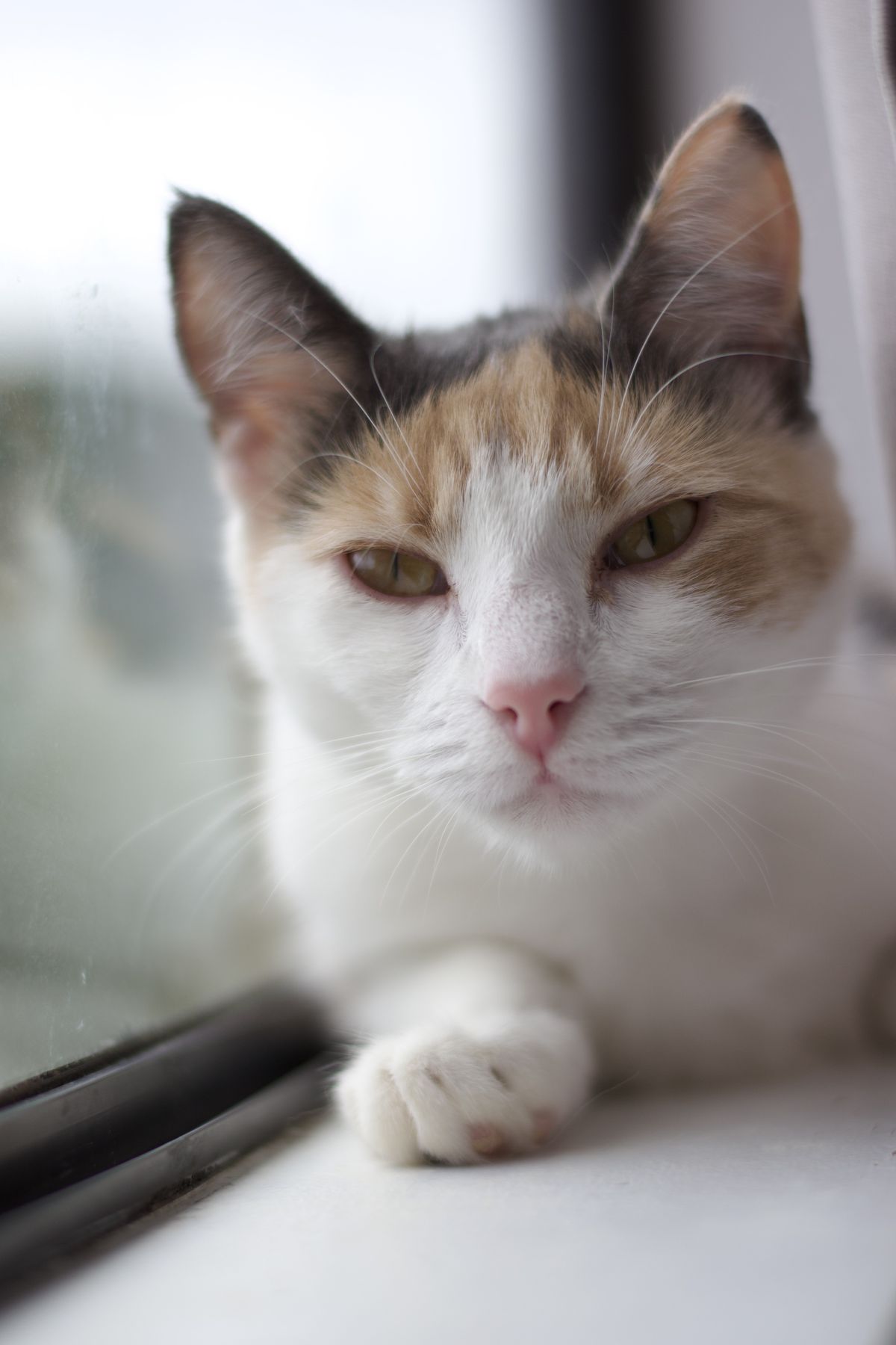 Gallery image: Precious