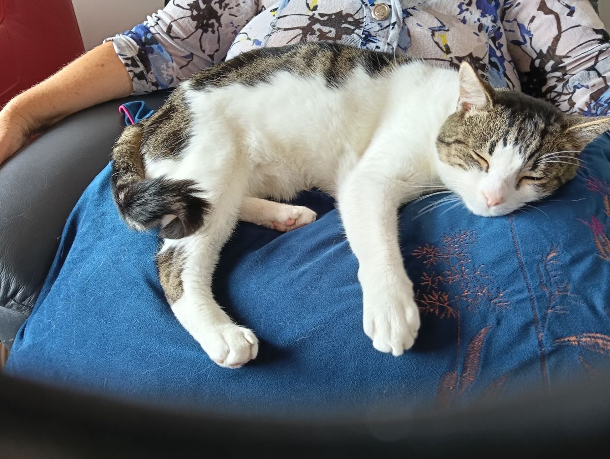 Gallery image: East Forest