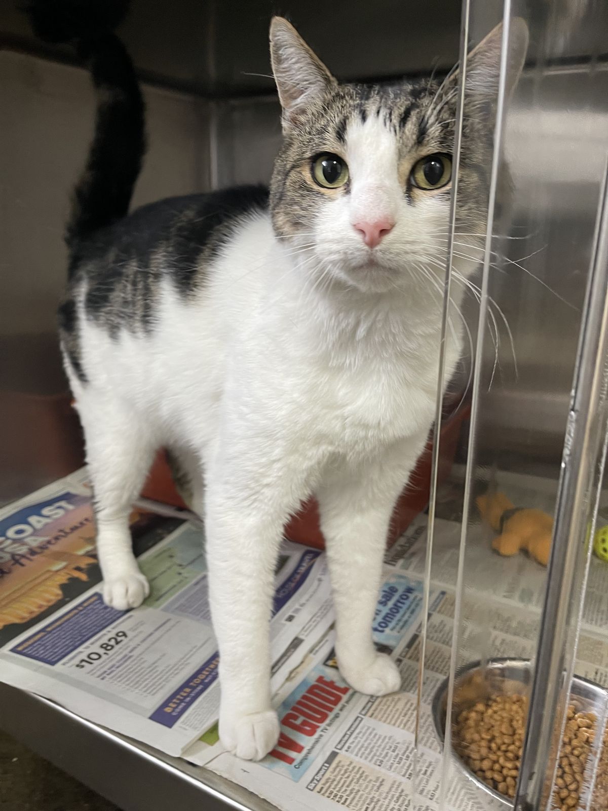 Gallery image: East Forest