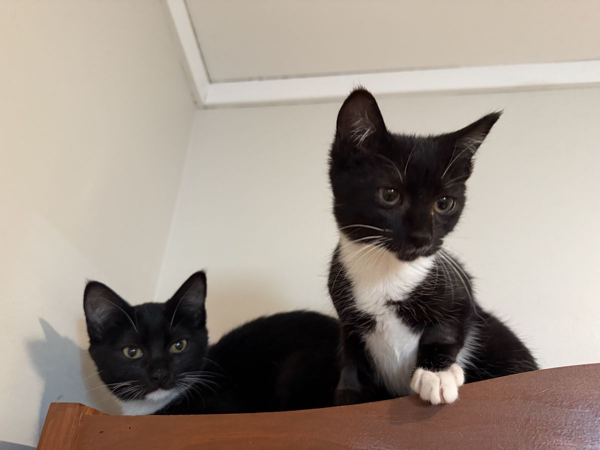 Gallery image: Thelma