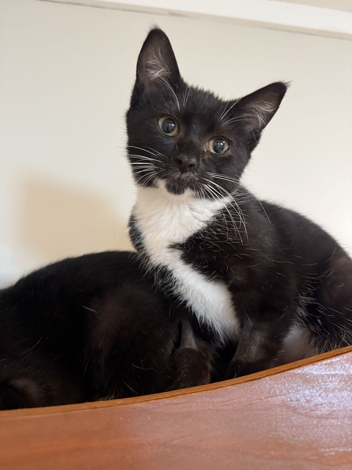 Gallery image: Thelma