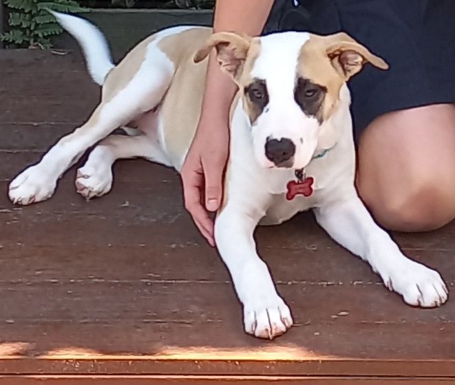 Gallery image: Sandy 