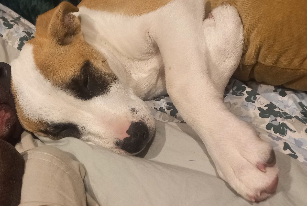 Gallery image: Sandy 