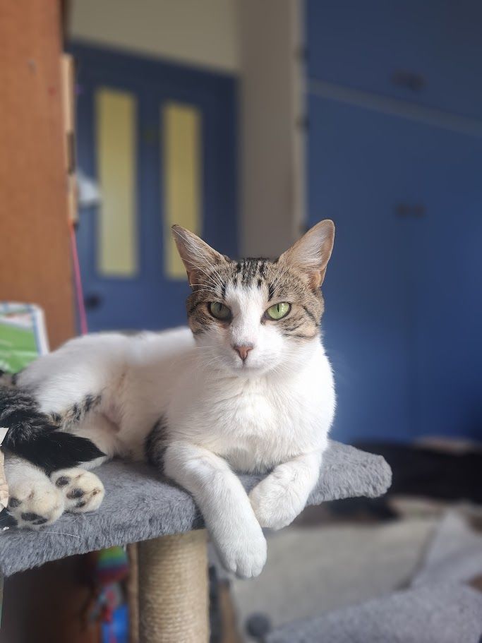 Gallery image: Sushi