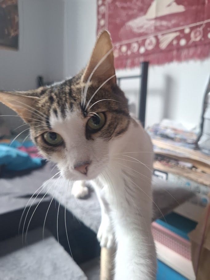 Gallery image: Sushi