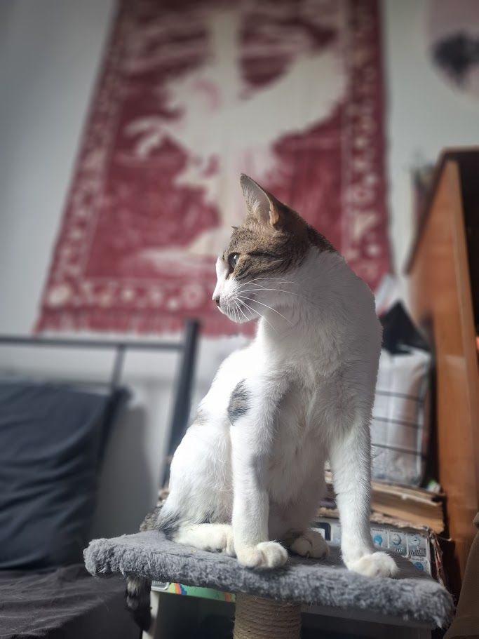 Gallery image: Sushi