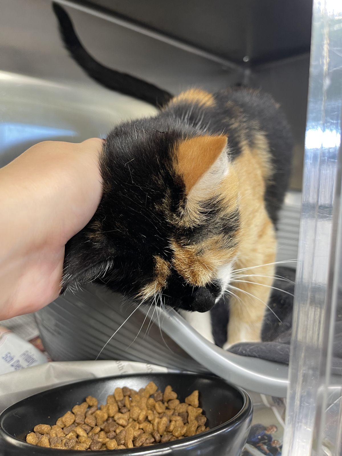 Gallery image: Marge