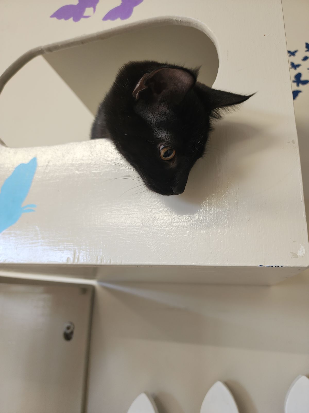 Gallery image: Martha