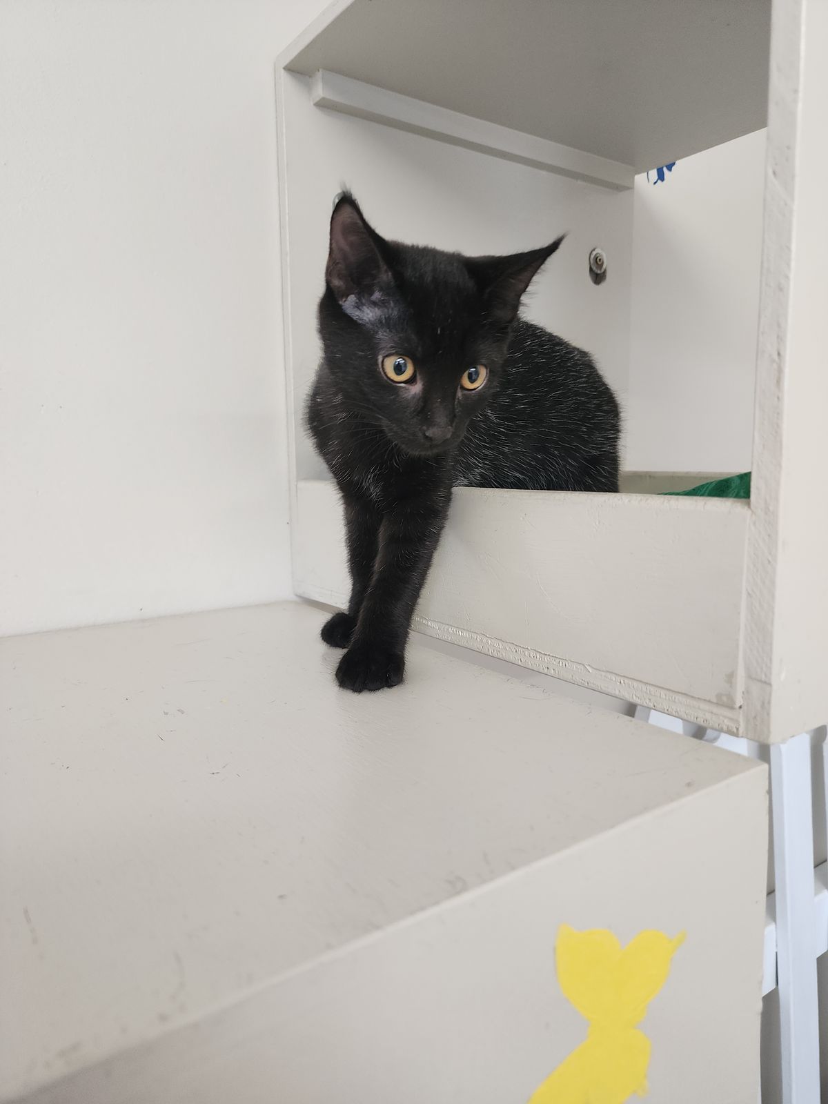 Gallery image: Martha