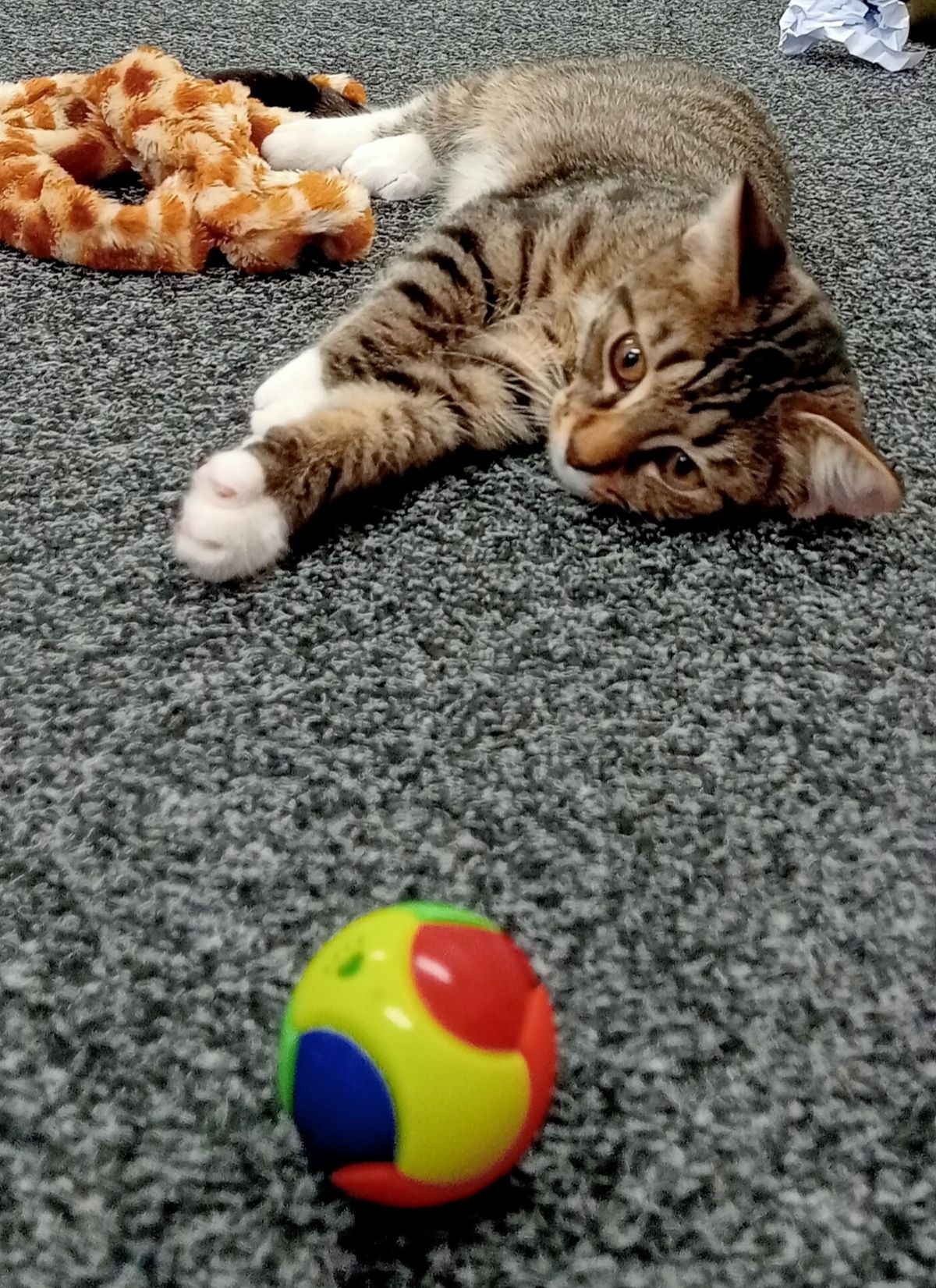 Gallery image: Helga