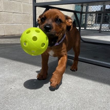 Gallery image: Aurora