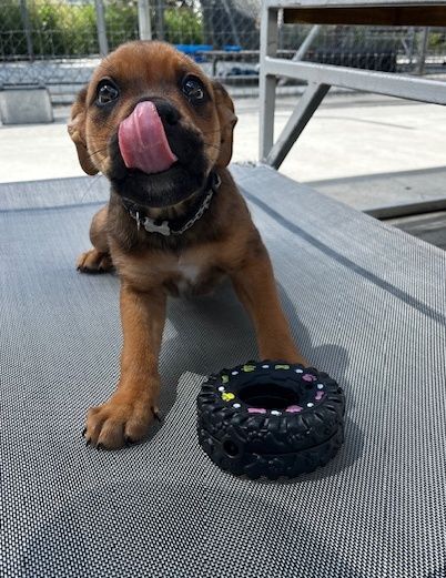 Gallery image: Ariel