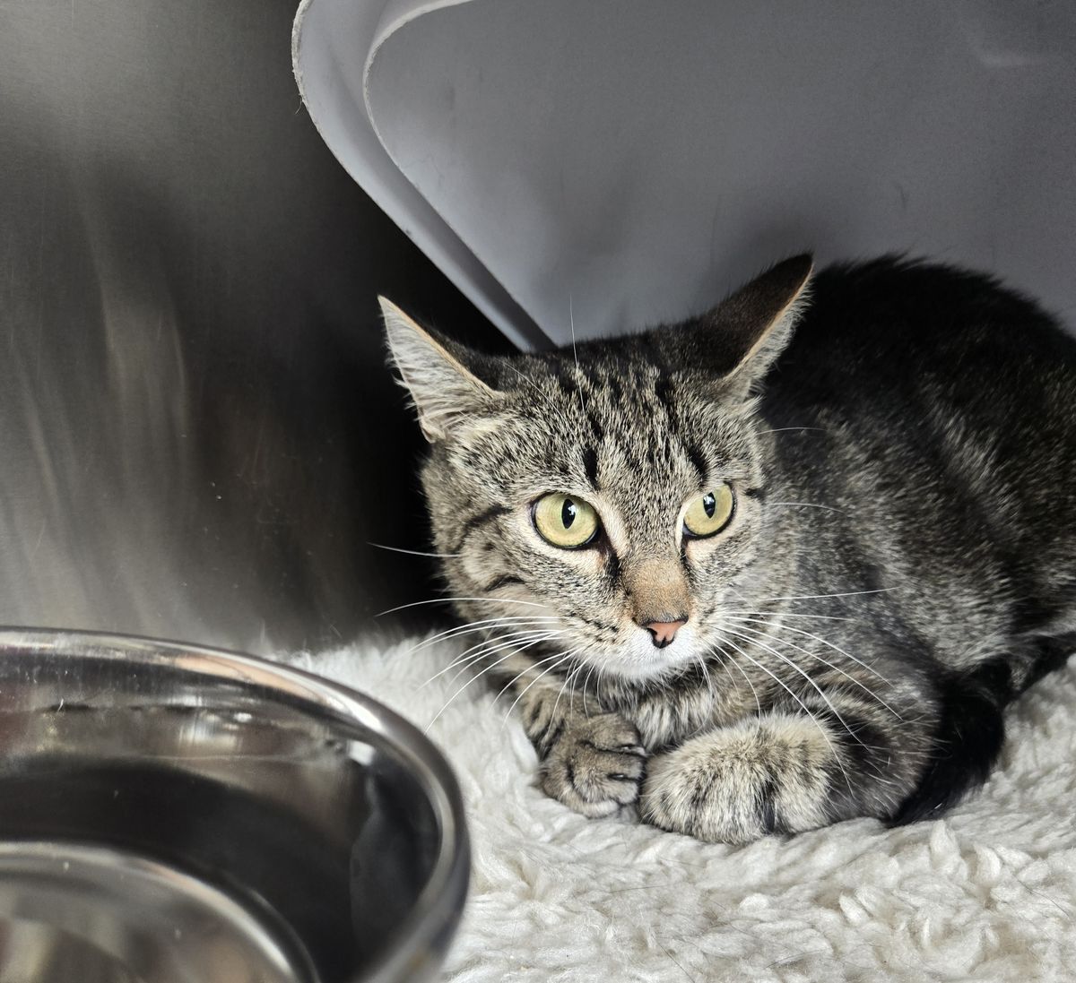 Gallery image: Bakery