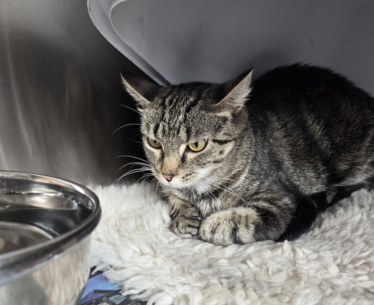 Gallery image: Bakery