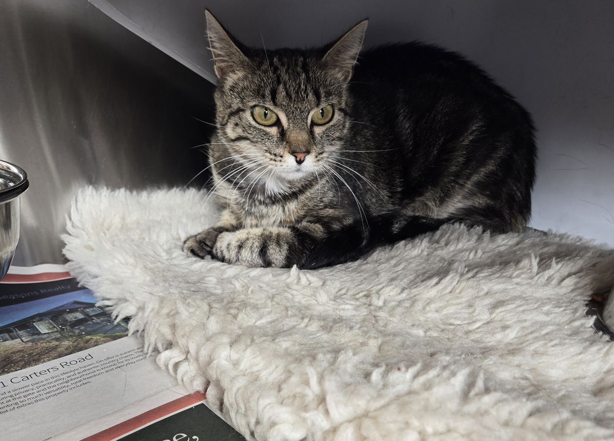 Gallery image: Bakery