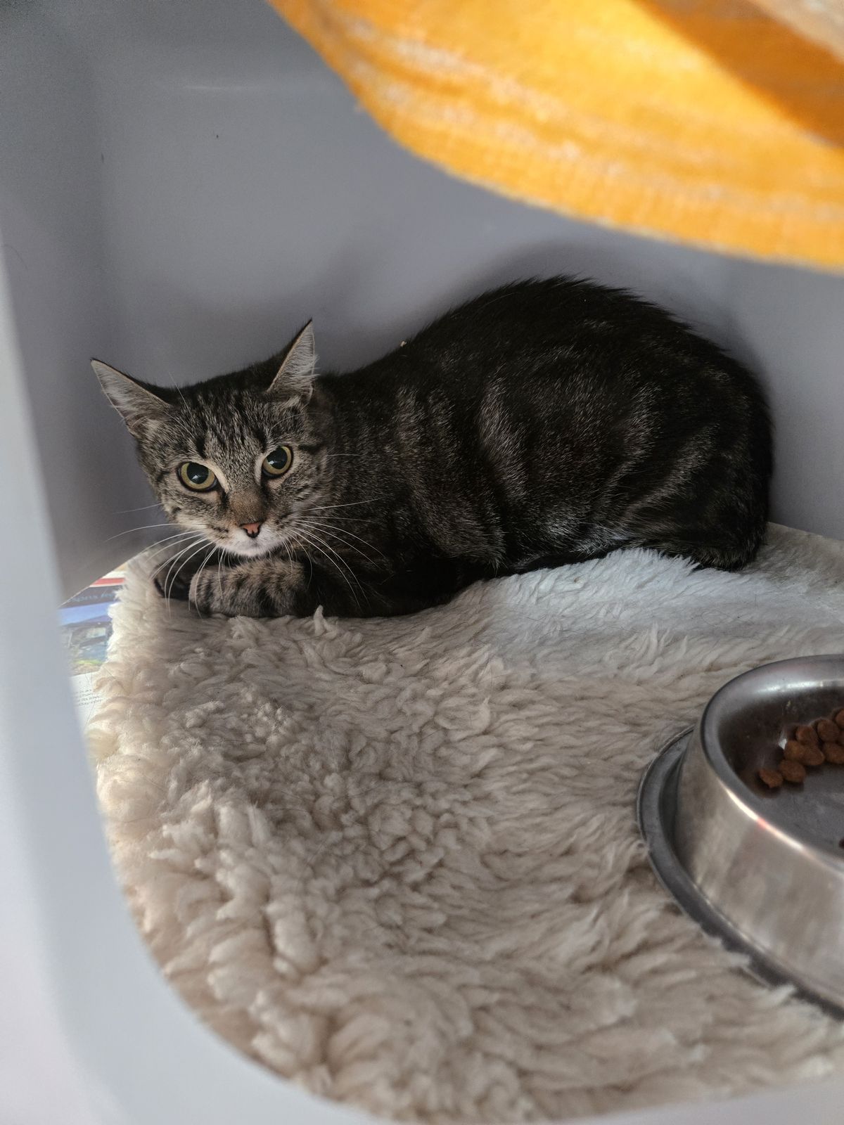 Gallery image: Bakery