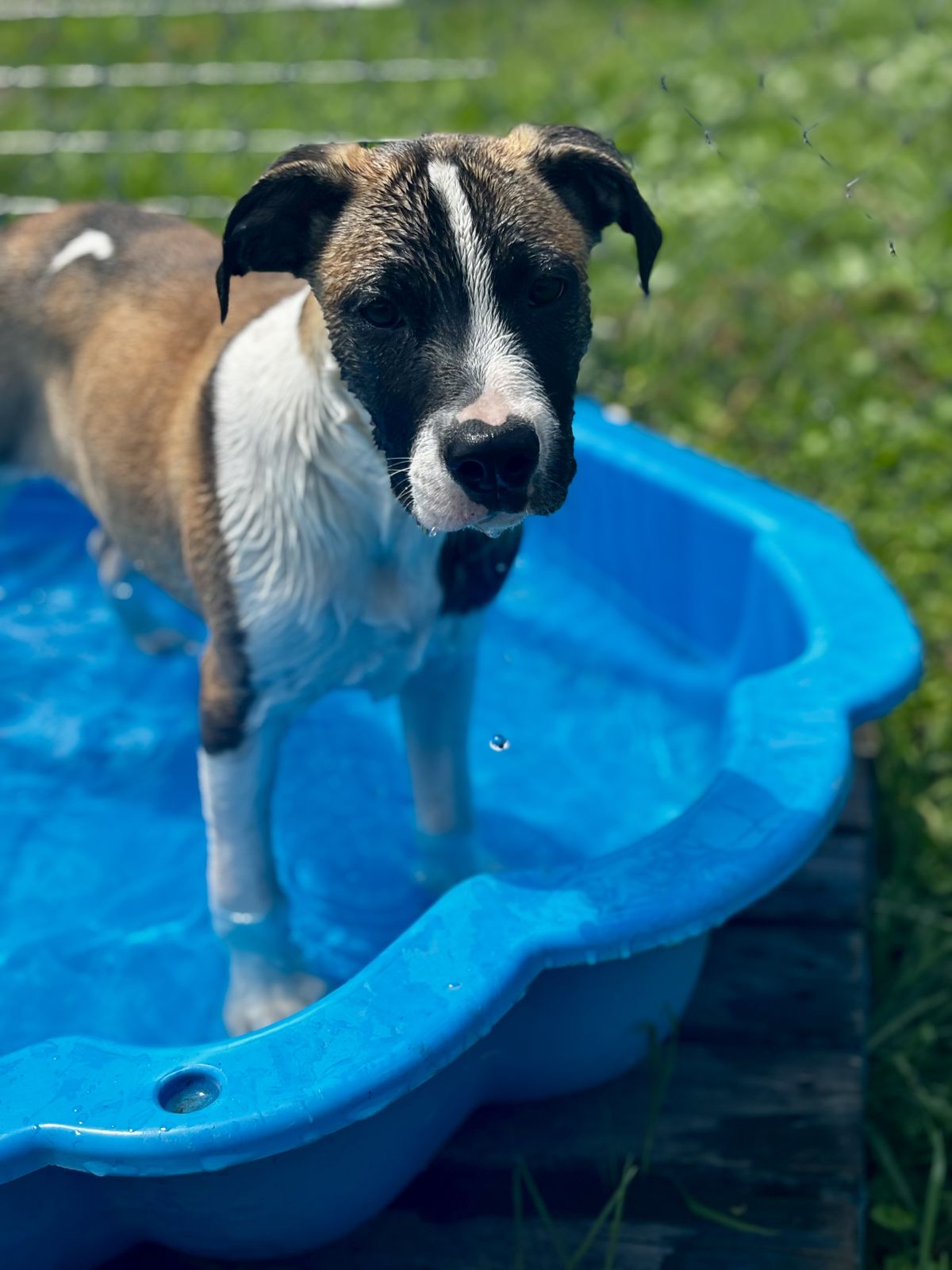 Gallery image: Tessa