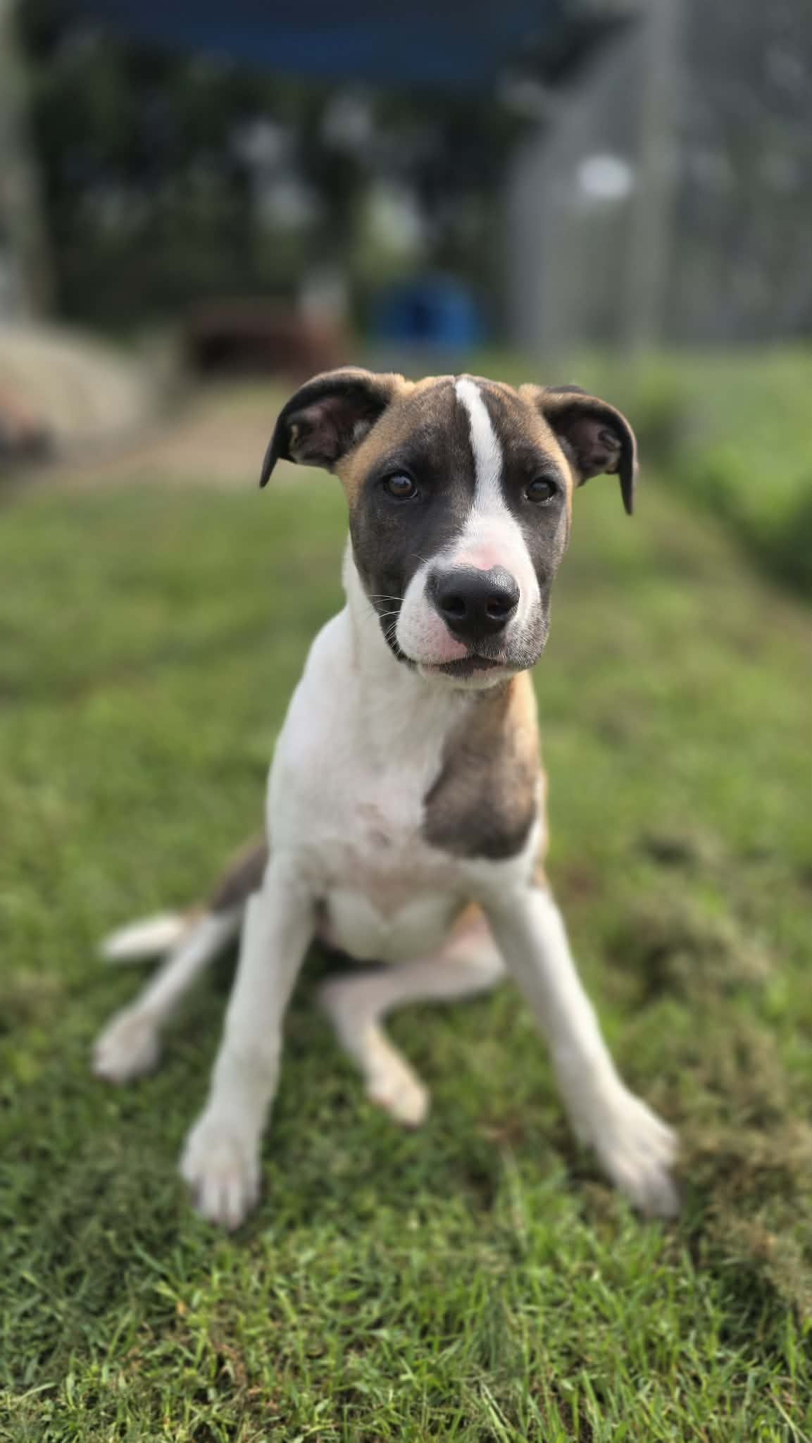 Gallery image: Tessa