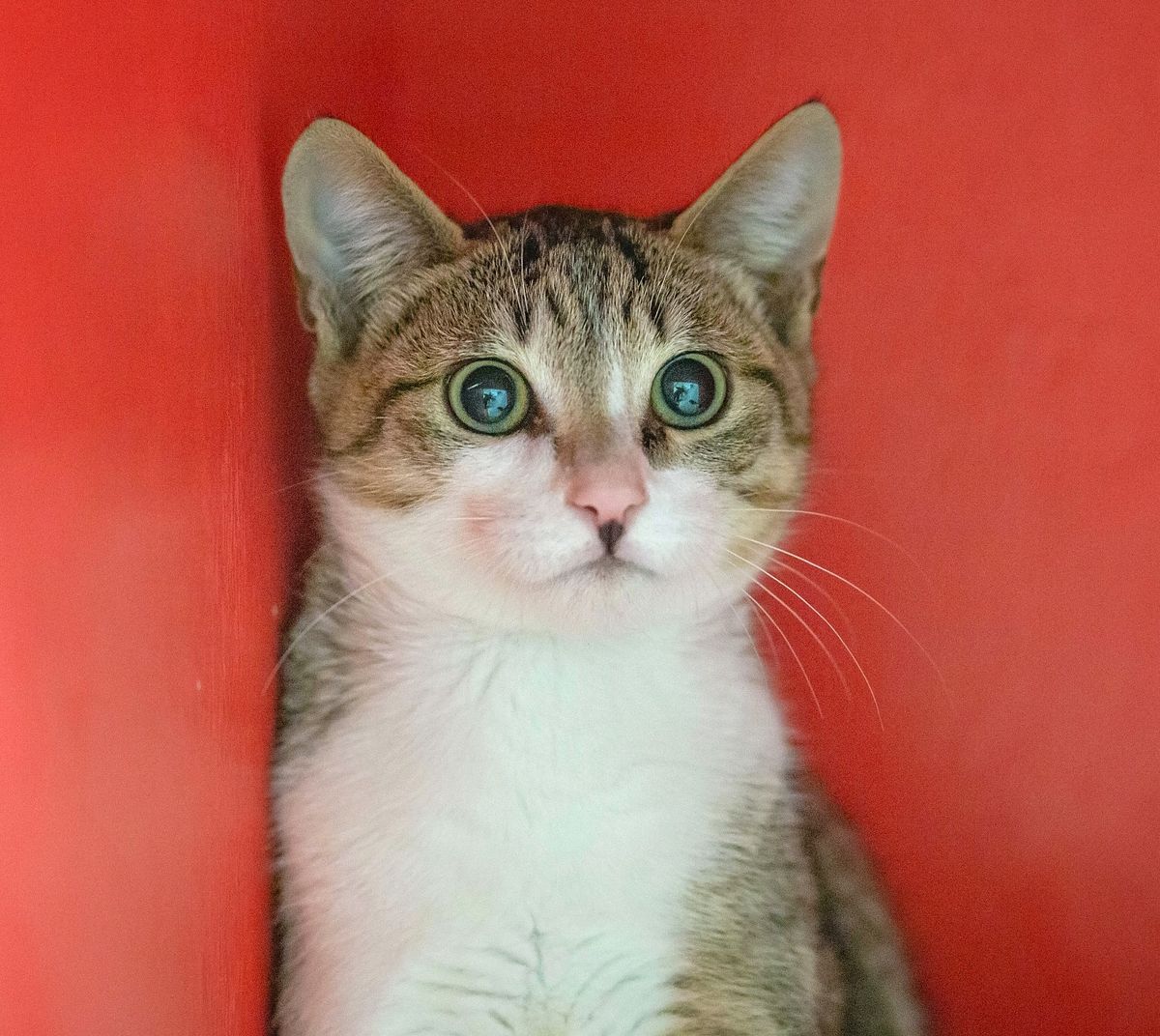 Gallery image: Beaker