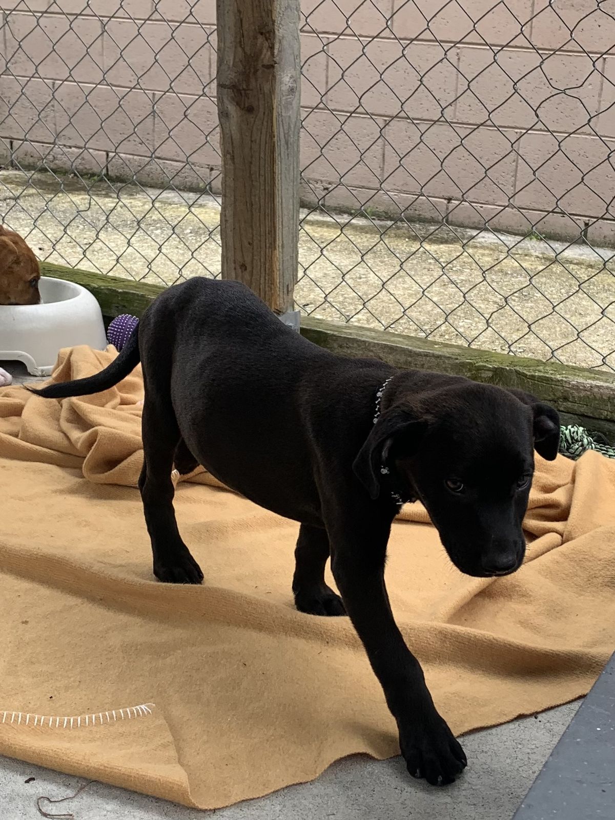 Gallery image: River 