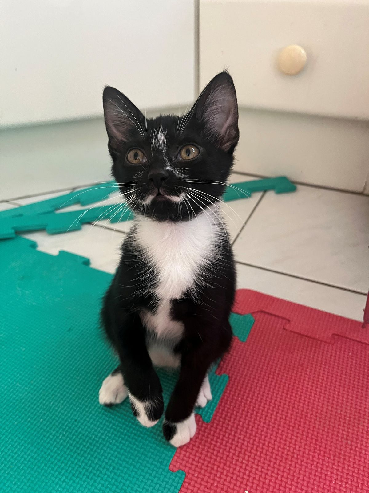 Gallery image: Stash 