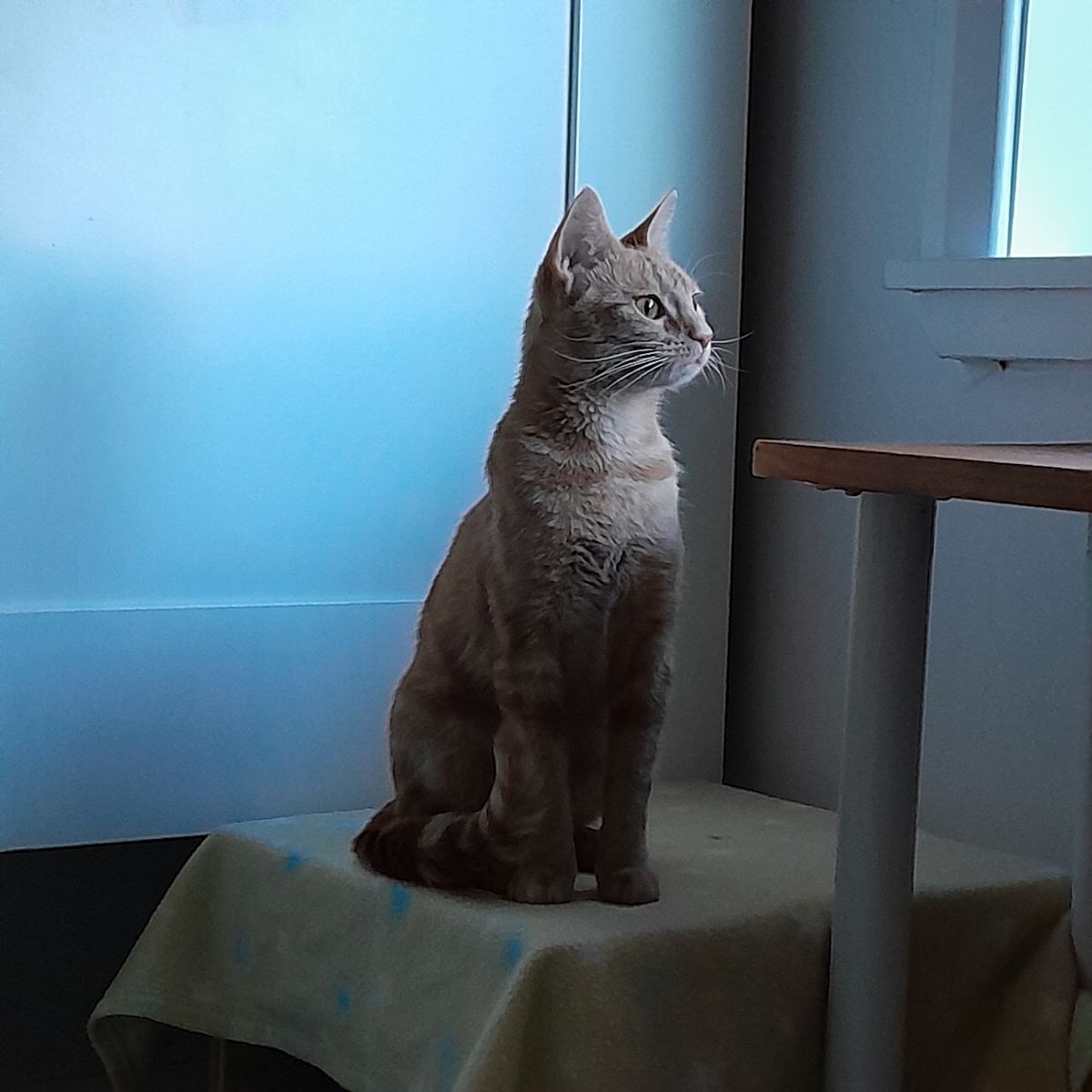 Gallery image: Millie