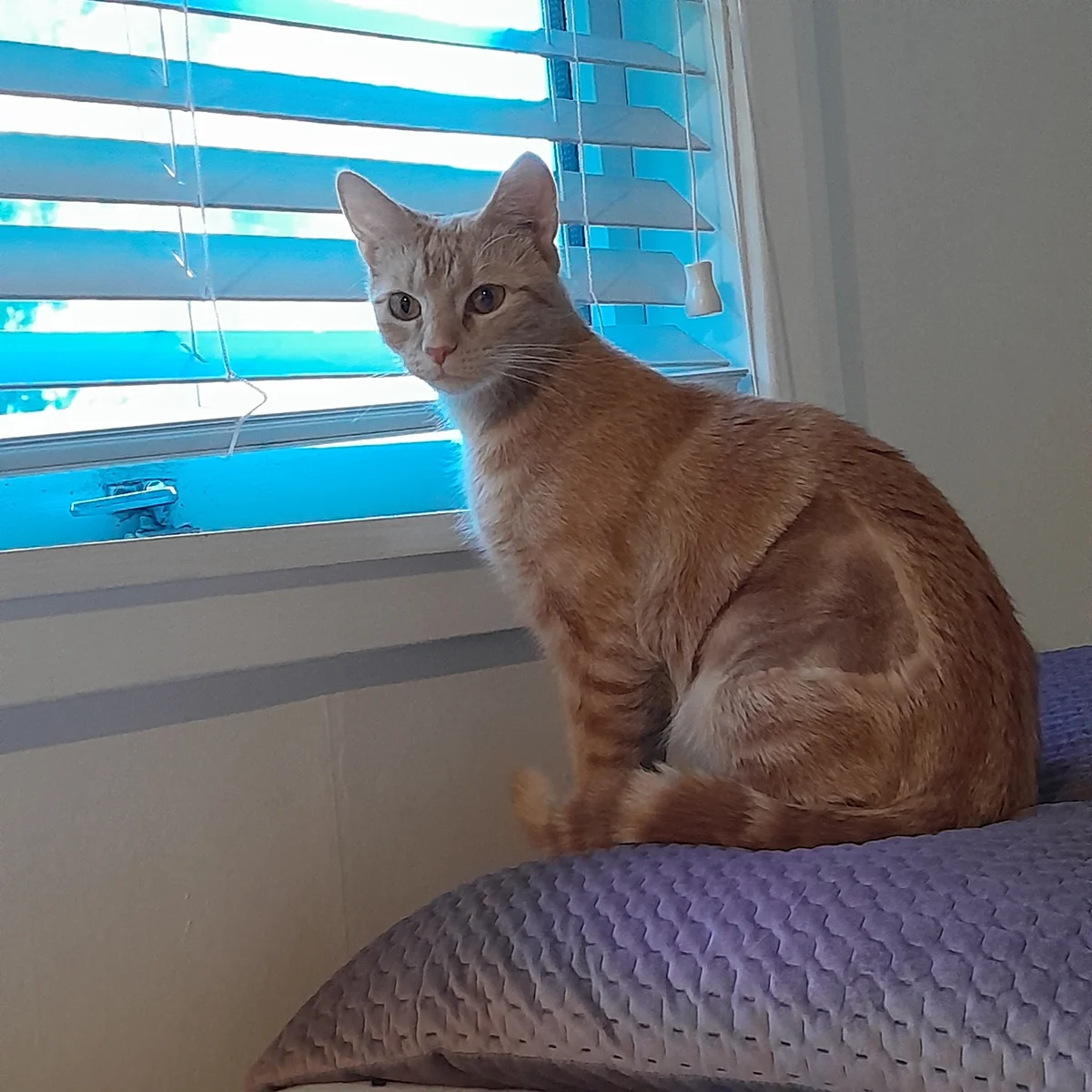 Gallery image: Millie