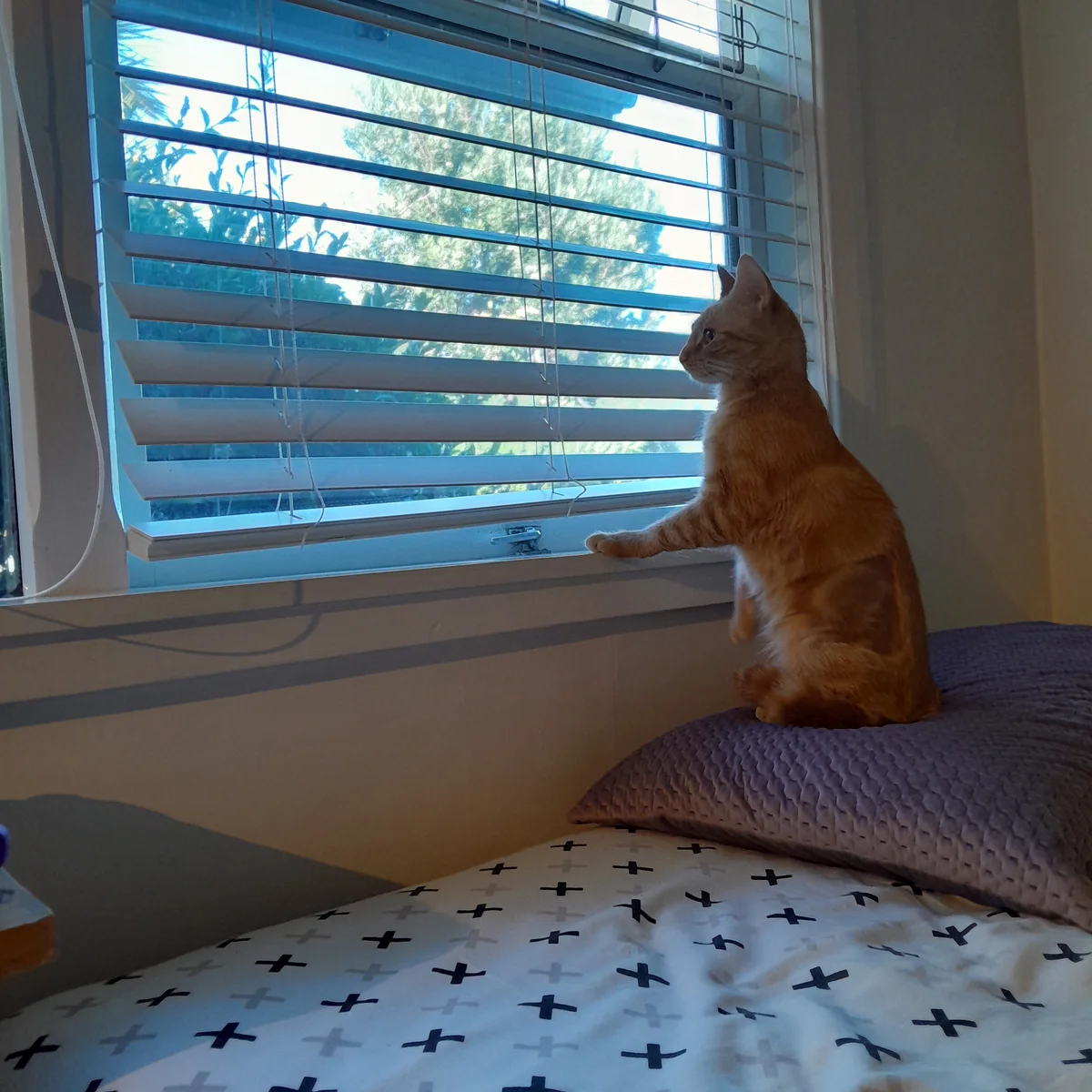 Gallery image: Millie