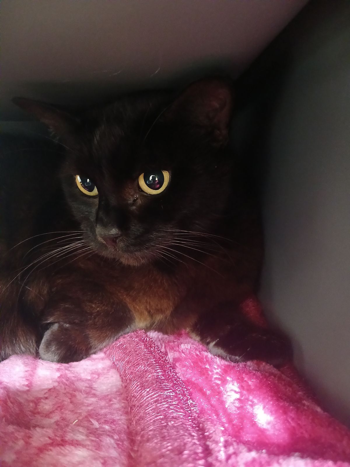 Gallery image: Heimo