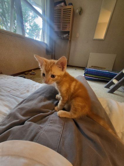 Gallery image: Donnie