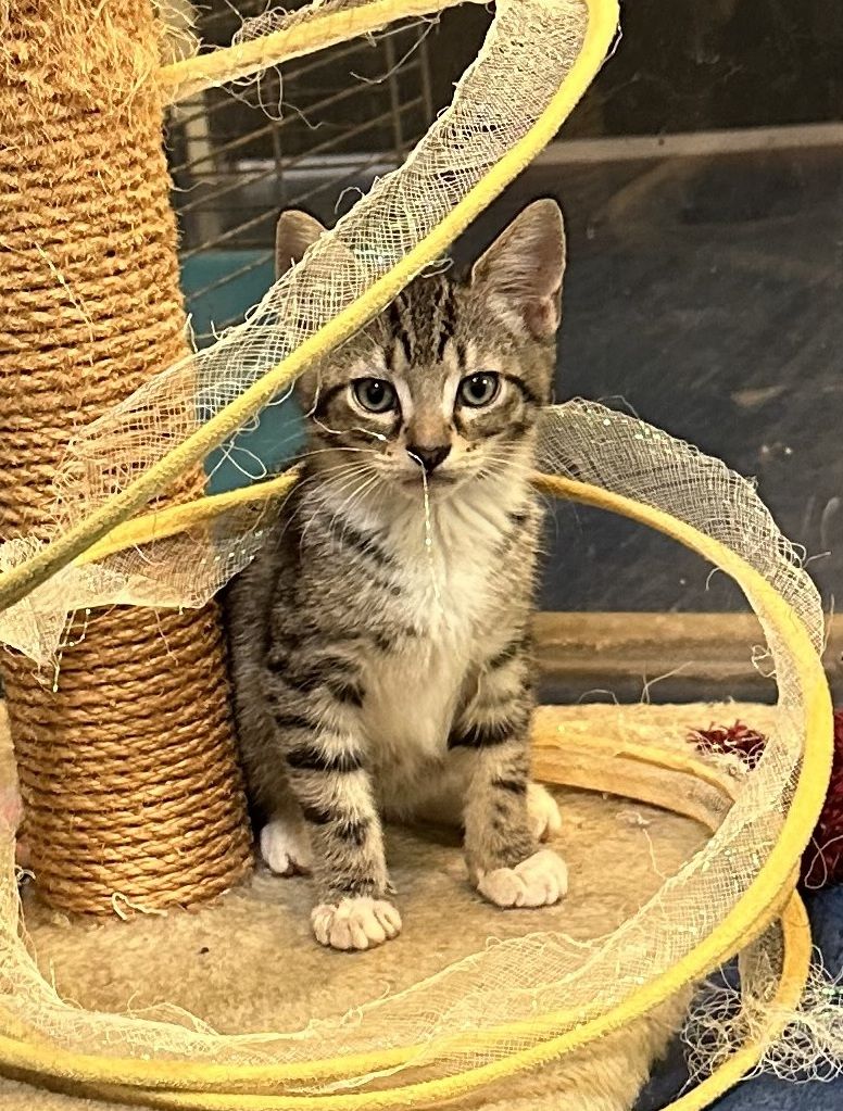 Gallery image: Storm