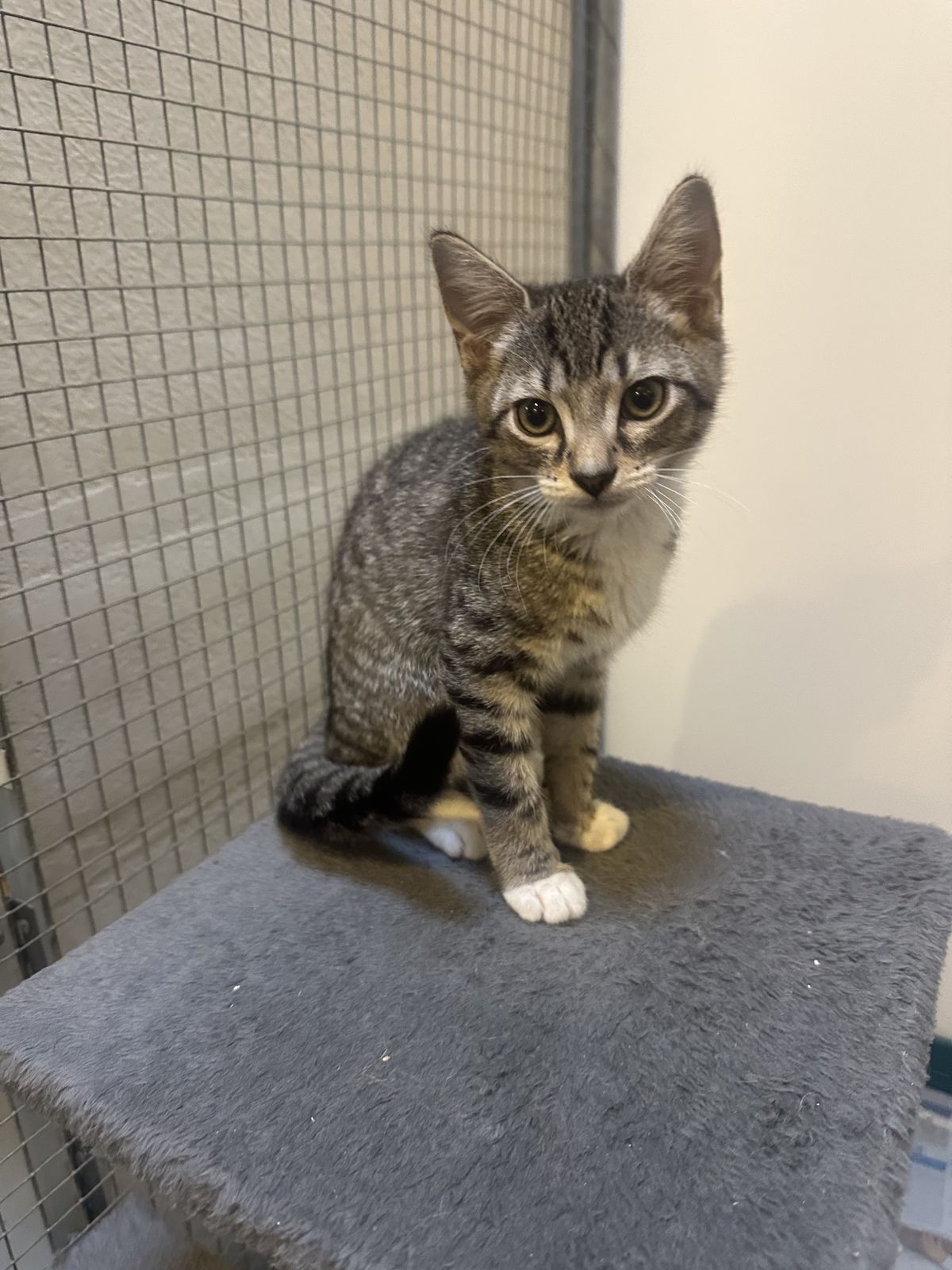 Gallery image: Storm