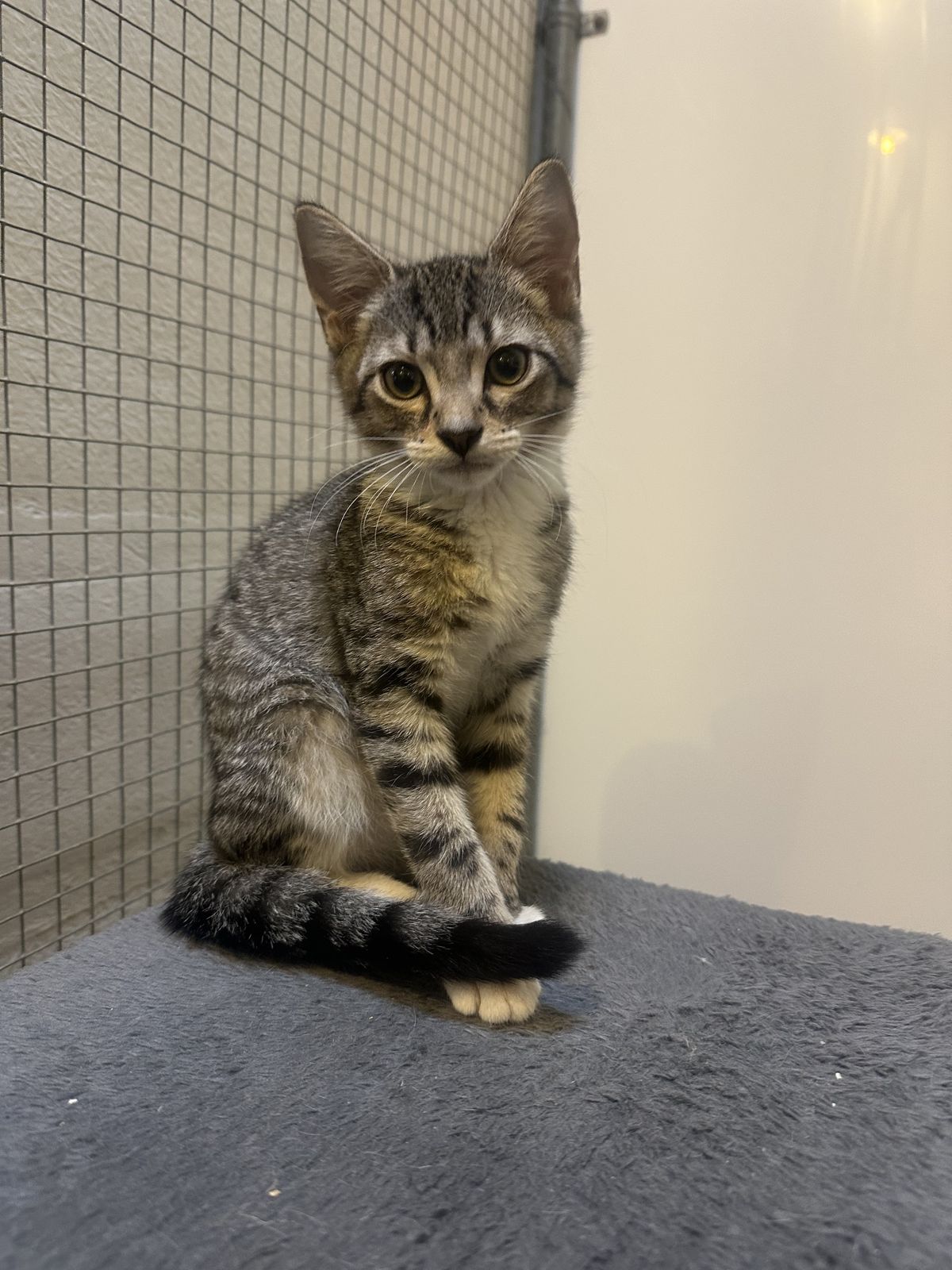 Gallery image: Storm